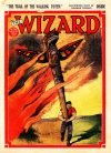 Cover For The Wizard 745