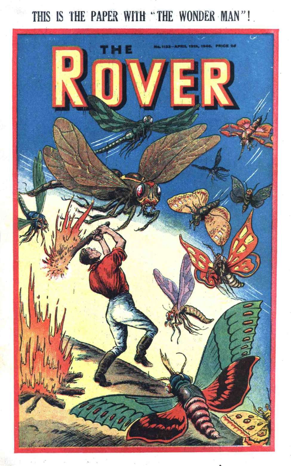 Book Cover For The Rover 1133