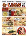 Cover For Lion 323
