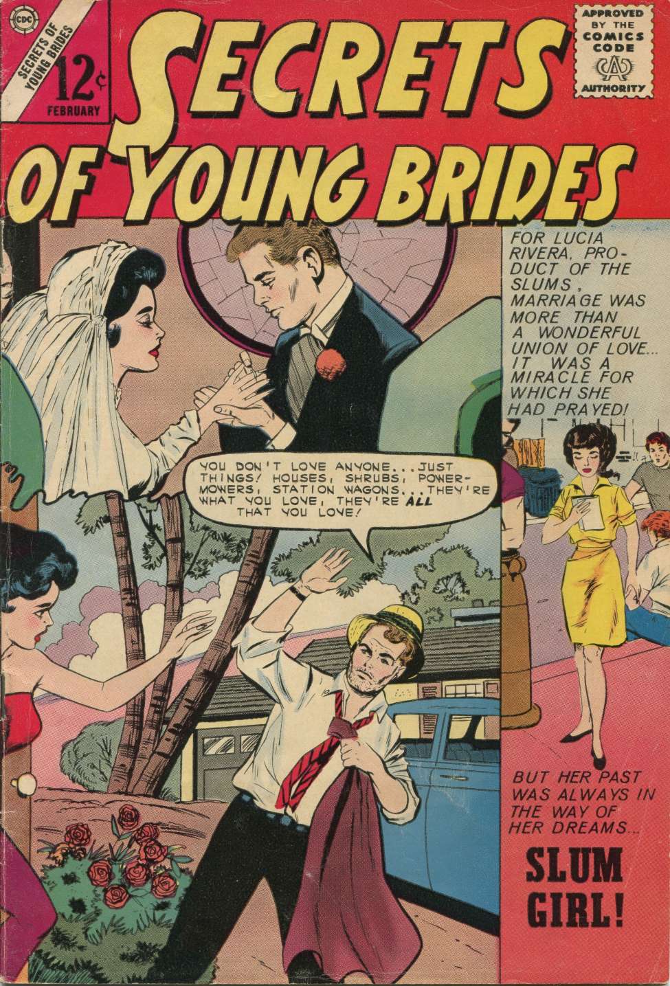 Book Cover For Secrets of Young Brides 35