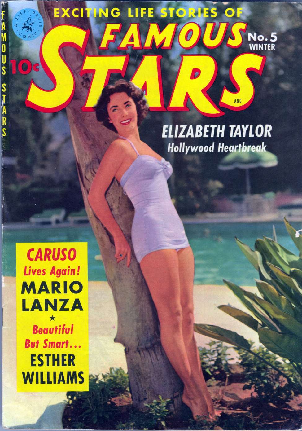 Book Cover For Famous Stars 5