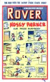Cover For The Rover 1041