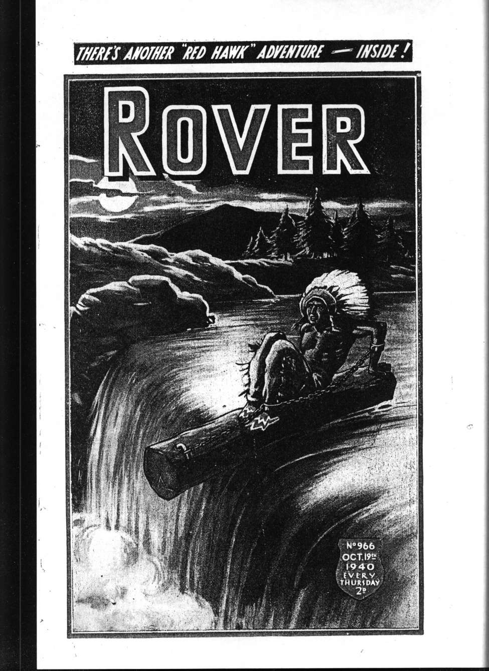 Book Cover For The Rover 966