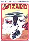 Cover For The Wizard 610