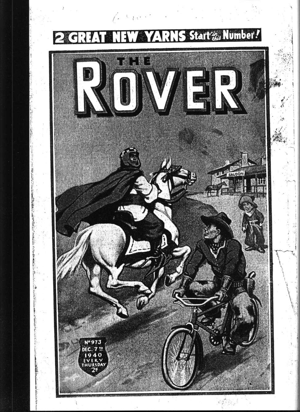 Book Cover For The Rover 973