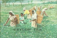 Large Thumbnail For Ceylon Tea Album - Pictorial Card Album
