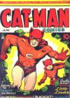 Cover For Cat-Man Comics 11