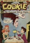 Cover For Cookie 24