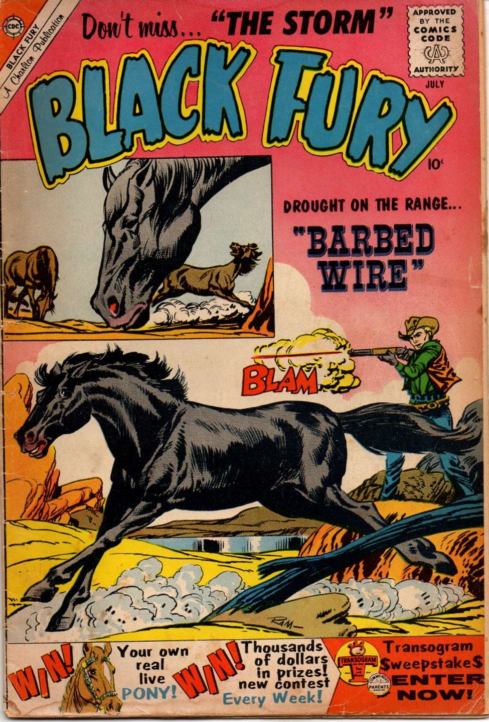 Comic Book Cover For Black Fury 25