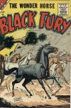 Cover For Black Fury 5