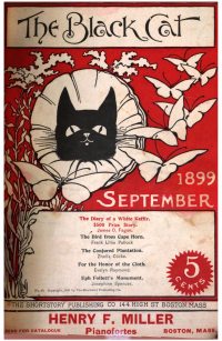Large Thumbnail For The Black Cat v4 12 - The Diary of a White Kaffir - James O. Fagan