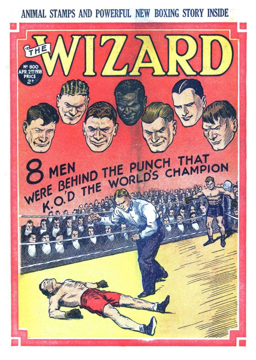 Book Cover For The Wizard 800