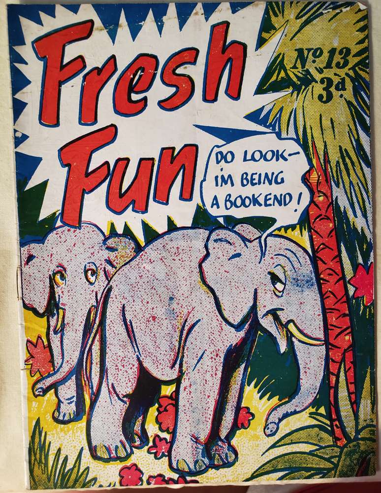 Book Cover For Fresh Fun 13