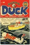 Cover For Super Duck 46