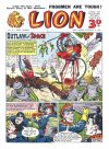 Cover For Lion 29