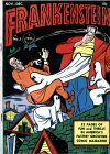 Cover For Frankenstein 5