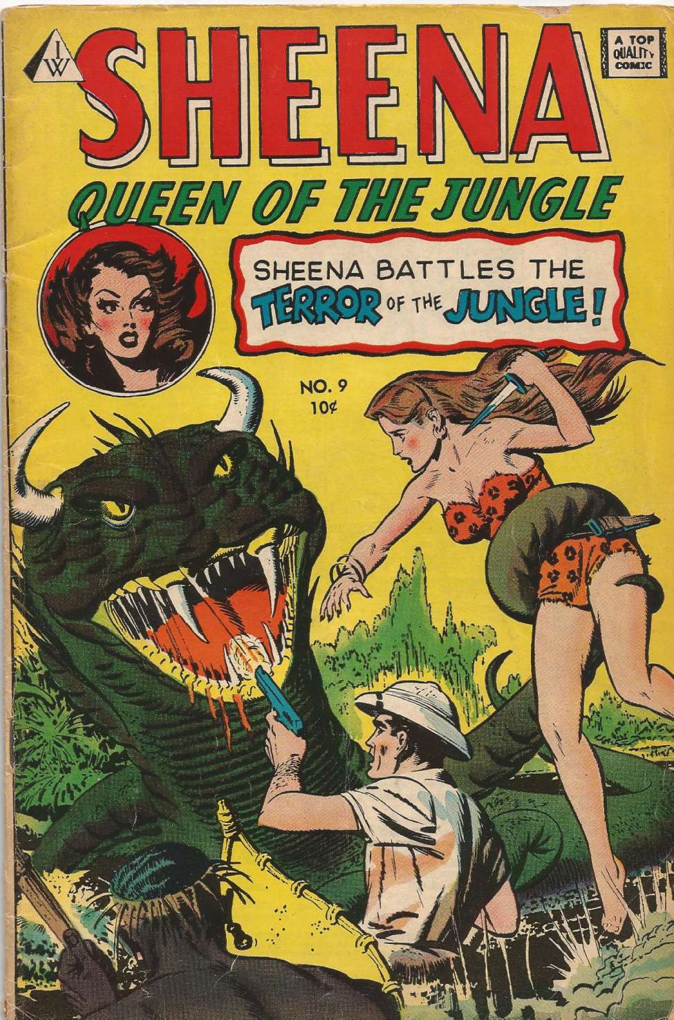 Book Cover For Sheena, Queen of the Jungle 9