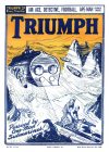Cover For The Triumph 793