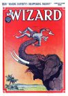 Cover For The Wizard 565