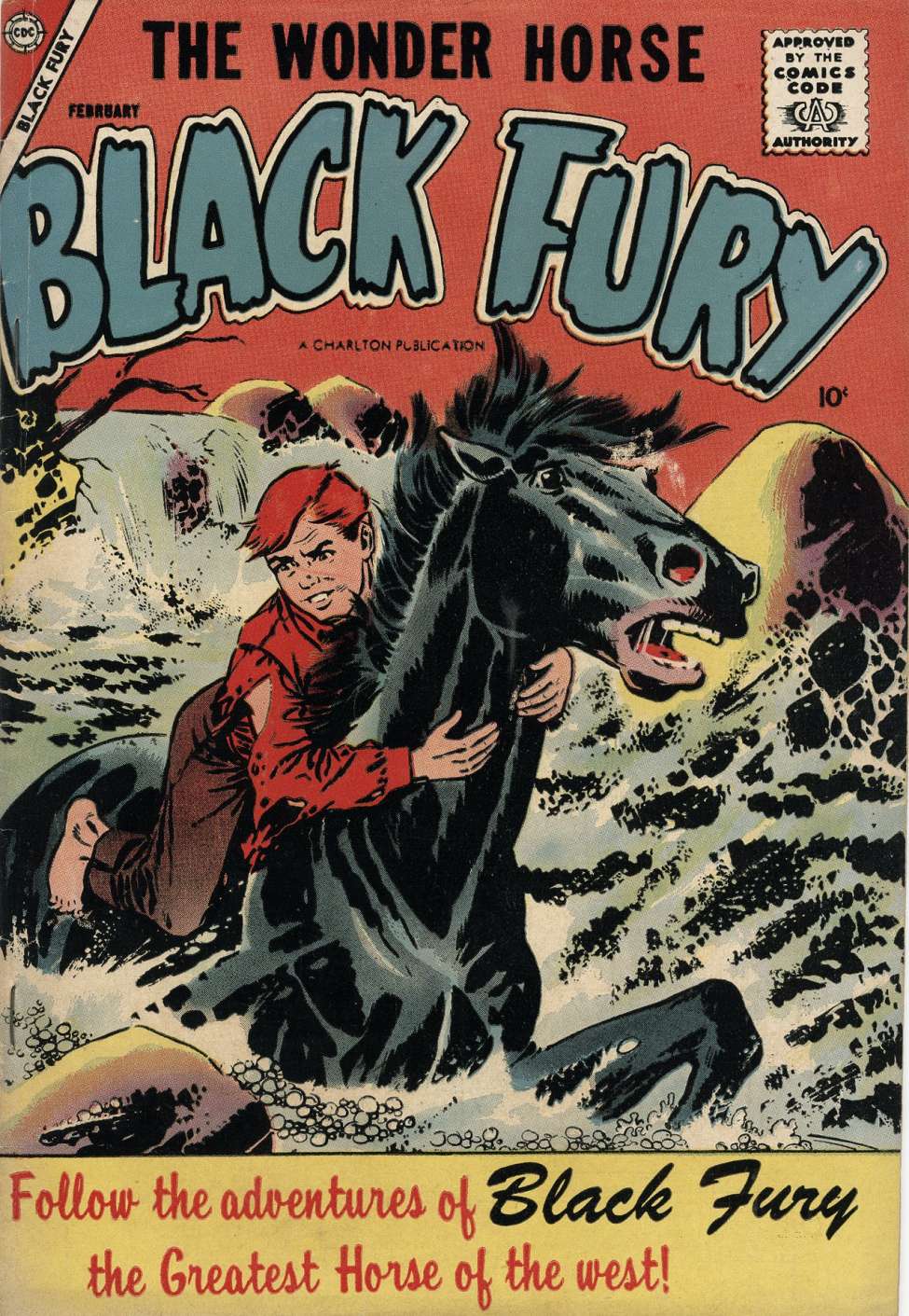 Comic Book Cover For Black Fury 12