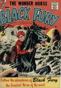 Large Thumbnail For Black Fury 12