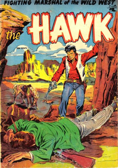 Book Cover For The Hawk 11