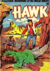 Cover For The Hawk 11