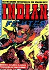 Cover For Indian Fighter 10