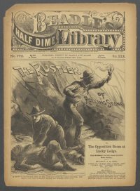 Large Thumbnail For Beadle's Half Dime Library 773 - The Rustler of Rolling Stone