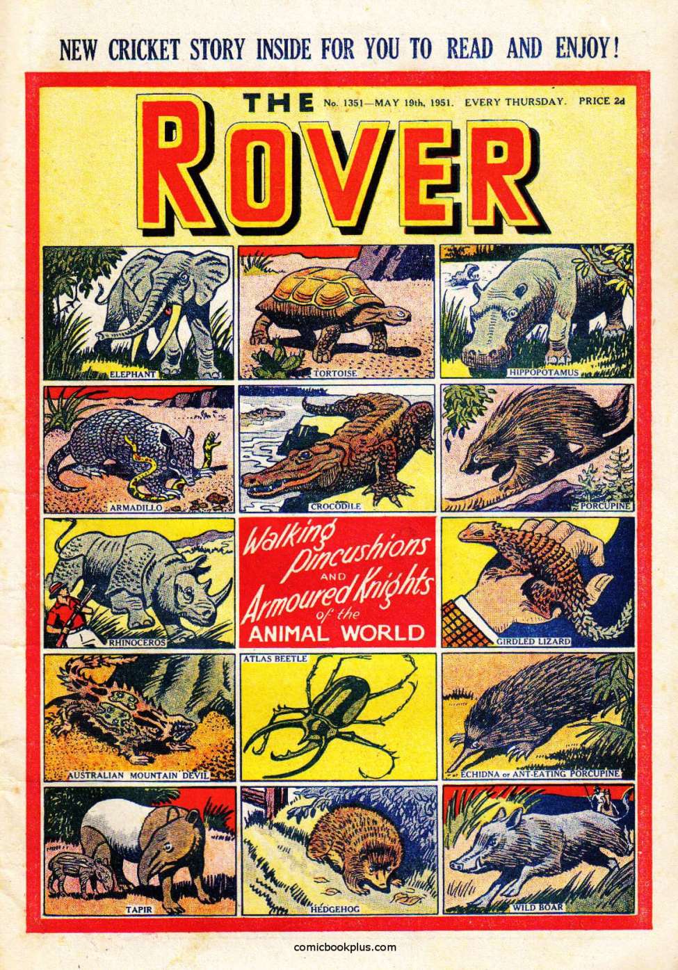 Book Cover For The Rover 1351