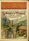 Cover For Secret Service 132 - The Bradys in Wyoming