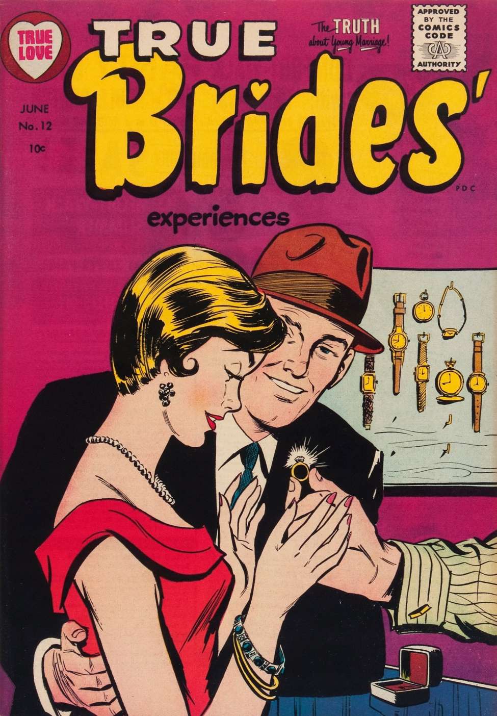 Comic Book Cover For True Brides' Experiences 12