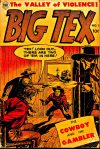 Cover For Big Tex 1
