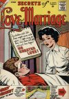 Cover For Secrets of Love and Marriage 15