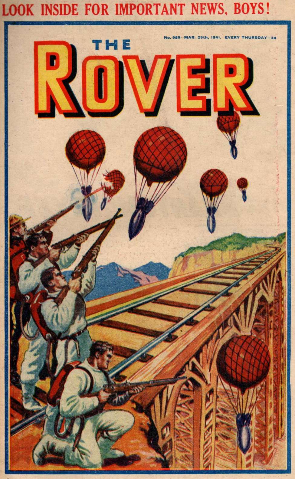 Book Cover For The Rover 989