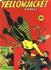 Cover For Yellowjacket Comics 2 (alt)