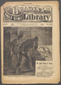 Large Thumbnail For Beadle's Half Dime Library 541 - Jeff Flicker, the Stable Boy Detective