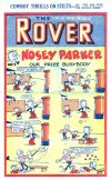 Cover For The Rover 1057