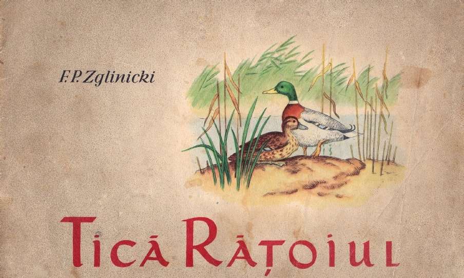 Comic Book Cover For Tica Ratoiul (Tica The Duck)