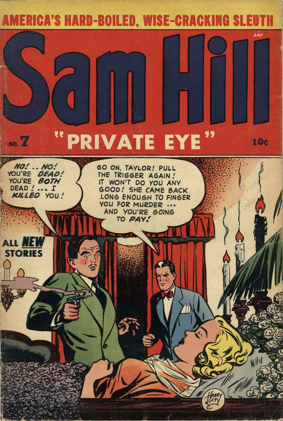 Book Cover For Sam Hill Private Eye 7