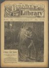 Cover For Beadle's Half Dime Library 651 - Bound Boy Frank, the Young Amateur Detective