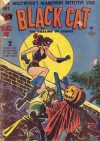 Cover For Black Cat 14