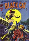 Cover For Black Cat 14