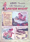 Cover For The Adventures of Peter Wheat 10
