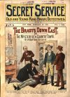 Cover For Secret Service 57 - The Bradys Down East (alt)