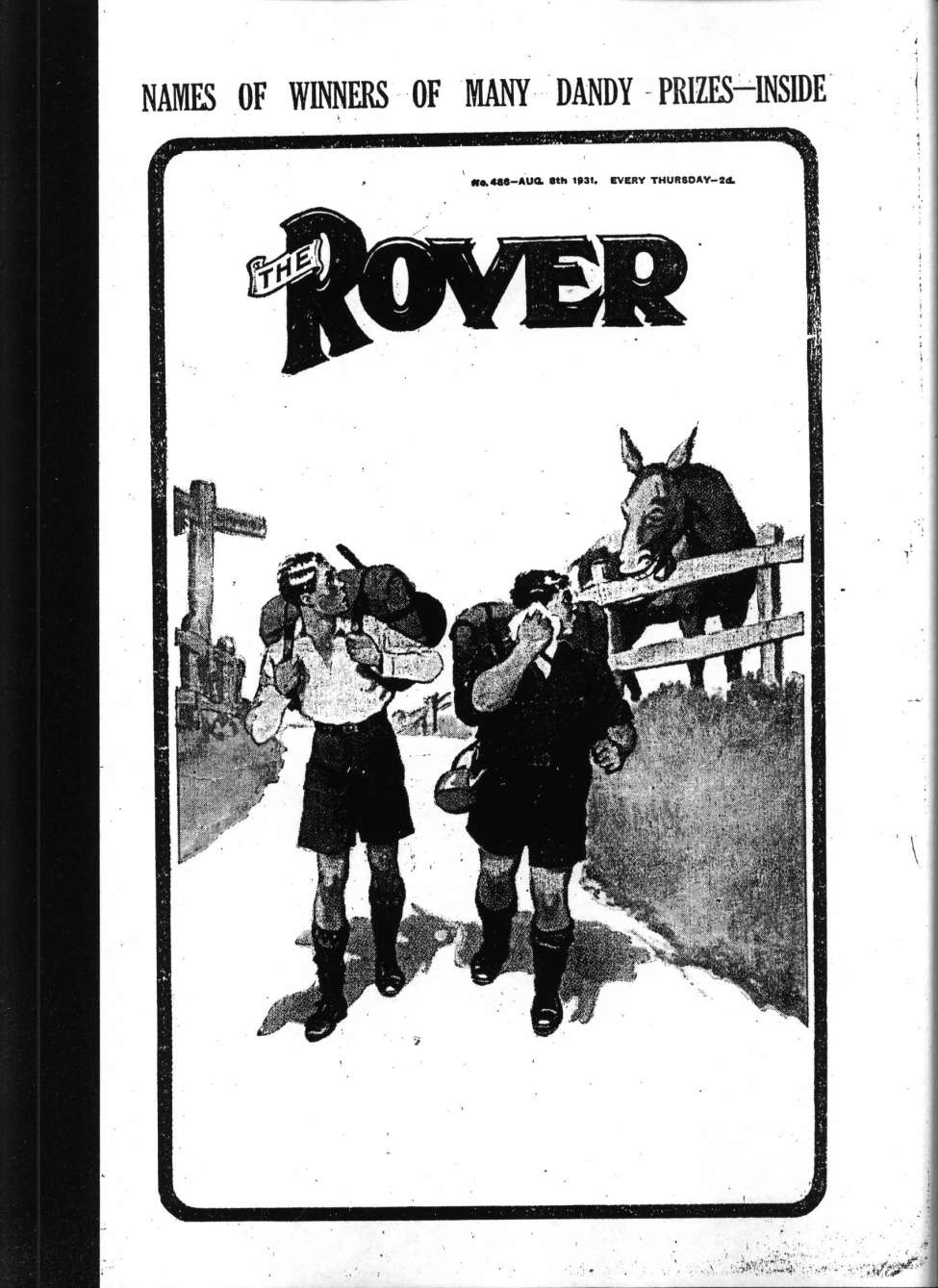 Book Cover For The Rover 486