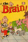 Cover For The Brain 4