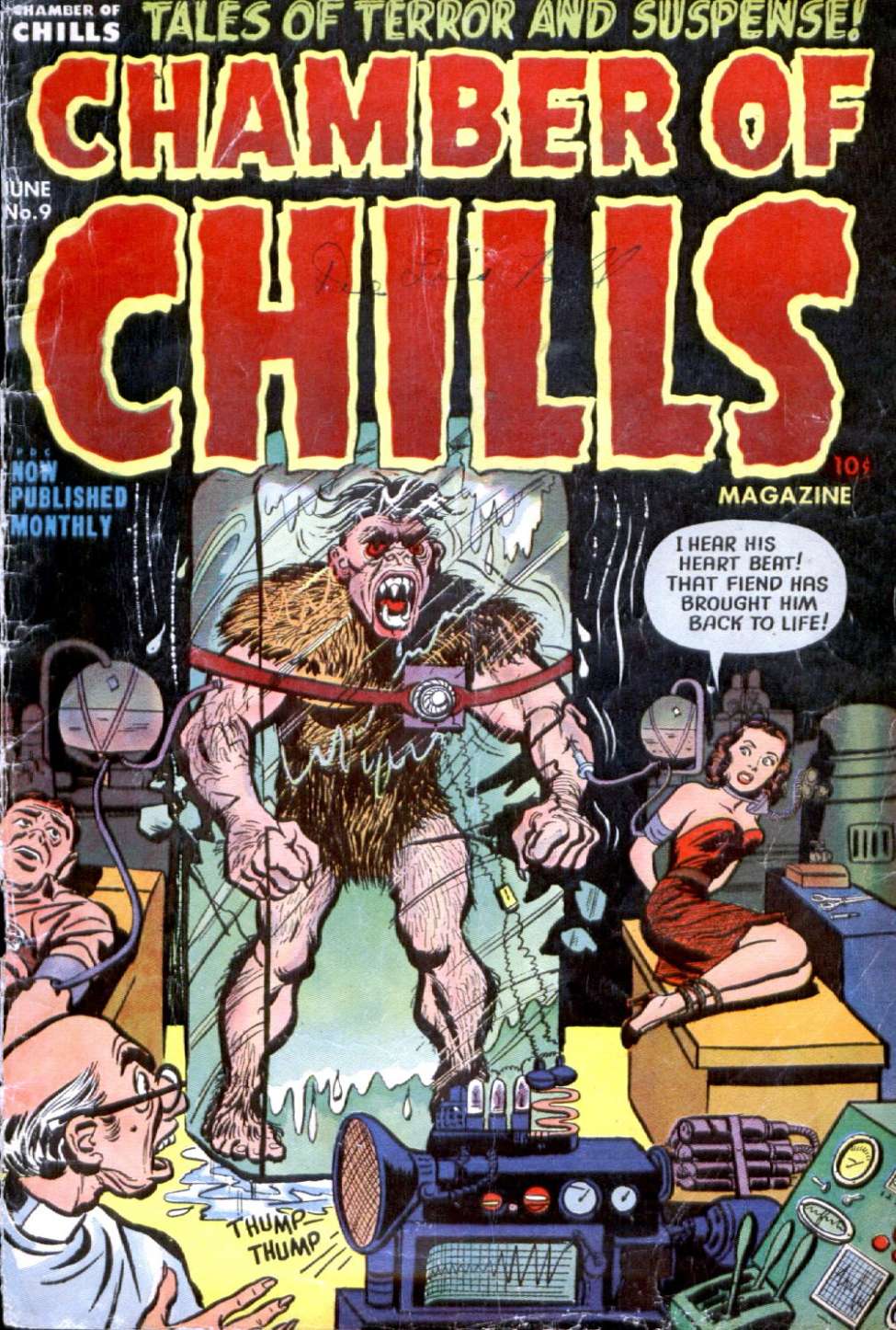 Comic Book Cover For Chamber of Chills 9