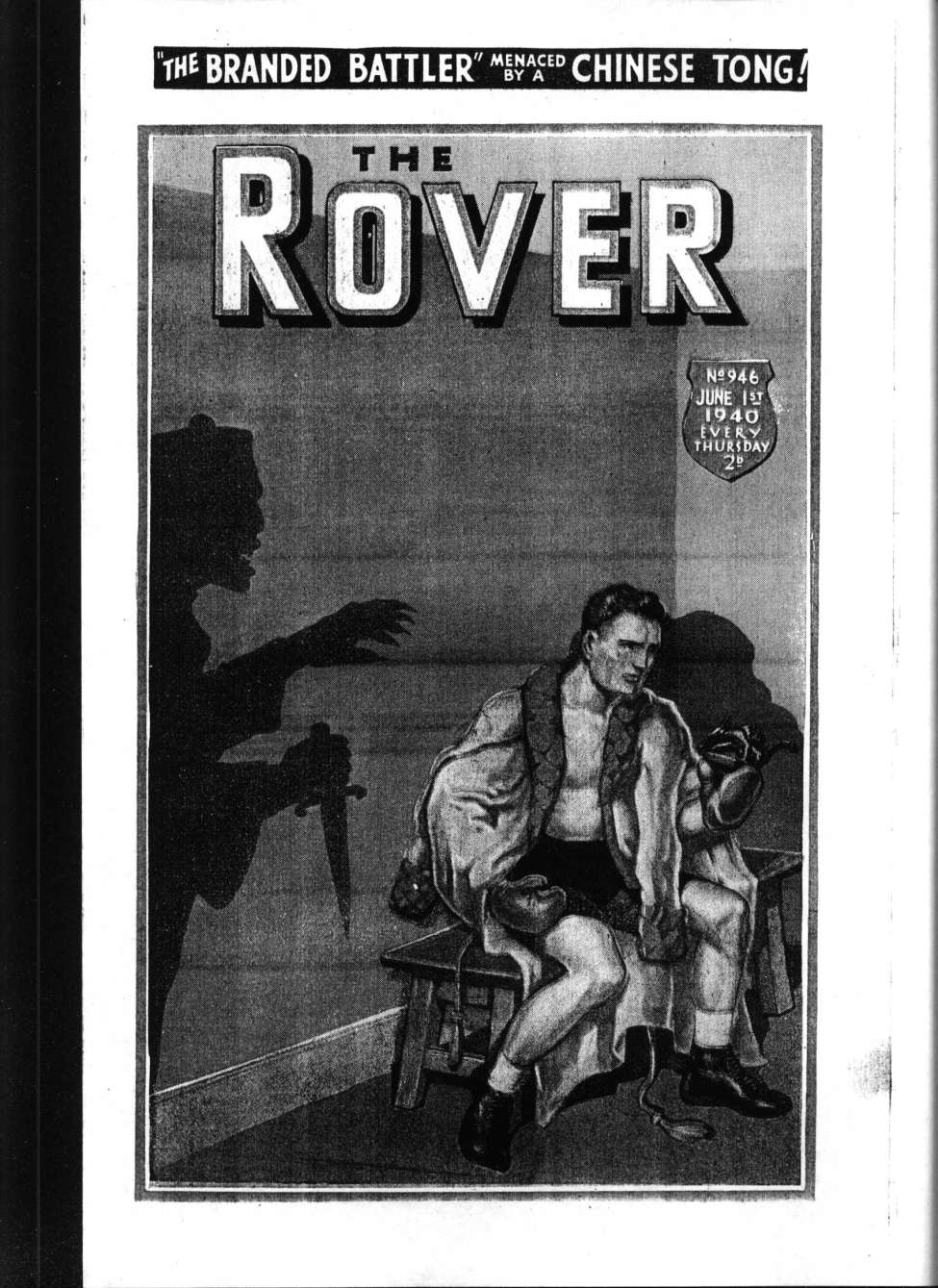 Book Cover For The Rover 946