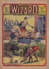 Cover For The Wizard 42